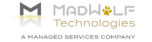 MadWolf Technologies:  Director of Project Management Office